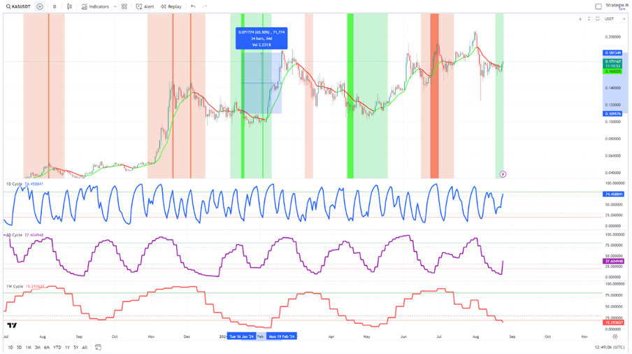 Why You Should Track Altcoins Against Bitcoin (Not USD)