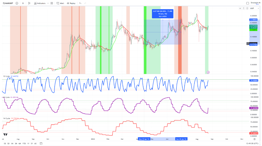 Why You Should Track Altcoins Against Bitcoin (Not USD)